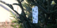 Real or fake? The Christmas tree choice may be decided by price tag this year