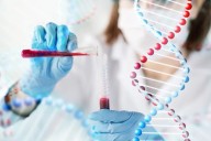 Identifican un gen único de los argentinos con más de 8.000 años de antigüedad