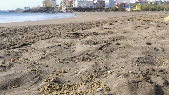 Telde descarta vertidos químicos en el emisario municipal: cierra Salinetas y el viernes reabrirá Melenara