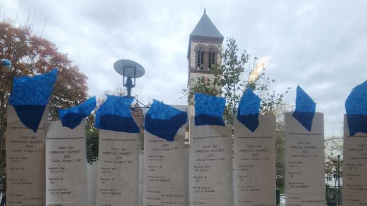 Cambridge election error cause still unclear; recount possible