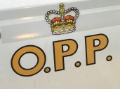 Walkerton pedestrian hit by vehicle, police looking for driver