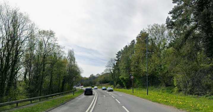 Dog on the loose causes traffic chaos as major road closed