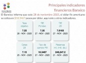 Banxico informa de los principales indicadores financieros al 28 de noviembre