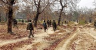 Seven Maoists killed in police encounter in Andhra Pradesh