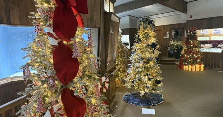 Warther's Christmas Tree Festival in Dover raising money for cancer patients