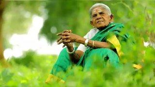 Mother of Trees’ Saalumarada Thimmakka, 114, Passes Away