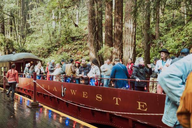 Riding the Mushroom Train for fungi, fine wine and forest conservation