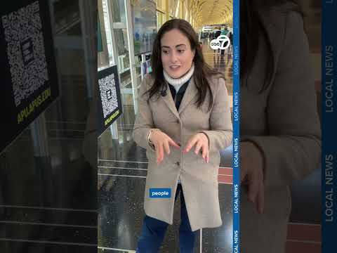 Flight cancelations force travelers to look for plan B