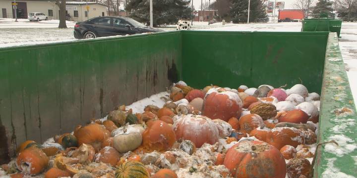 Hastings extends pumpkin disposal program through Saturday