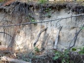 Stewardship council provides update on Depot Creek Restoration Project