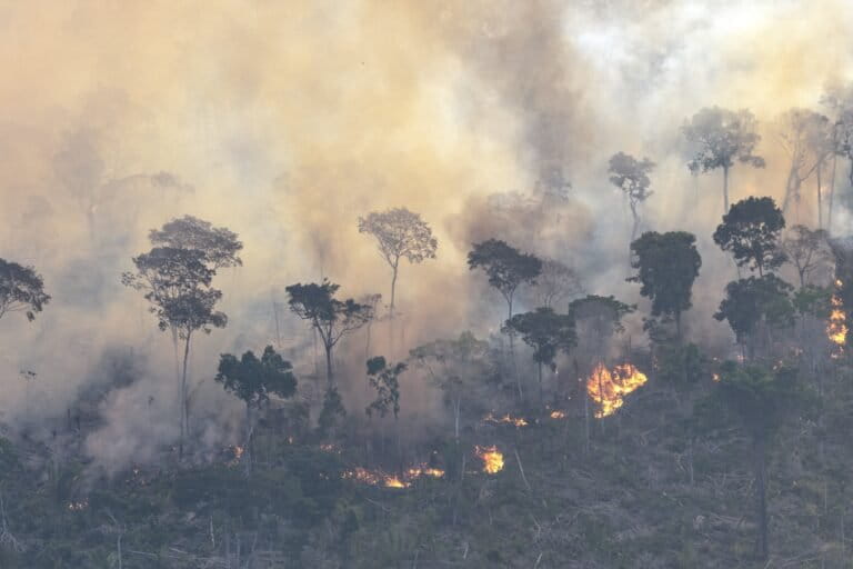 Weather disasters are surging in the Amazon. Reporting isn’t.