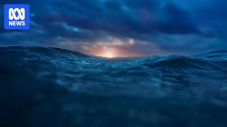 Fishers and researchers are working together to create a 'transformational' data set