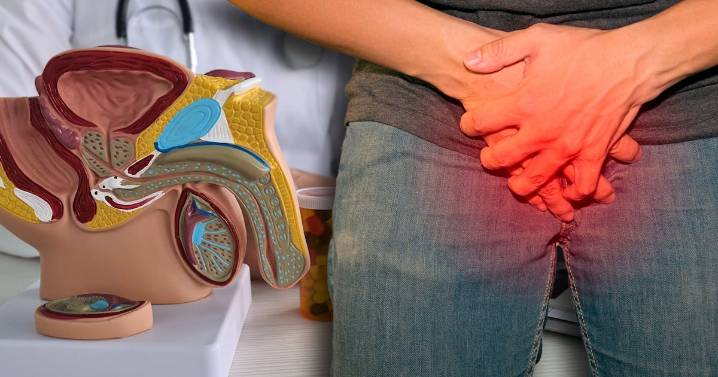 Que el ‘delicioso’ no termine en algo doloroso: ¿Qué son las fracturas de pene y cuál es el tratamiento?