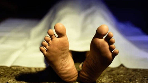 Woman collapses and dies after providing help to sick friend; friend passes away hours later