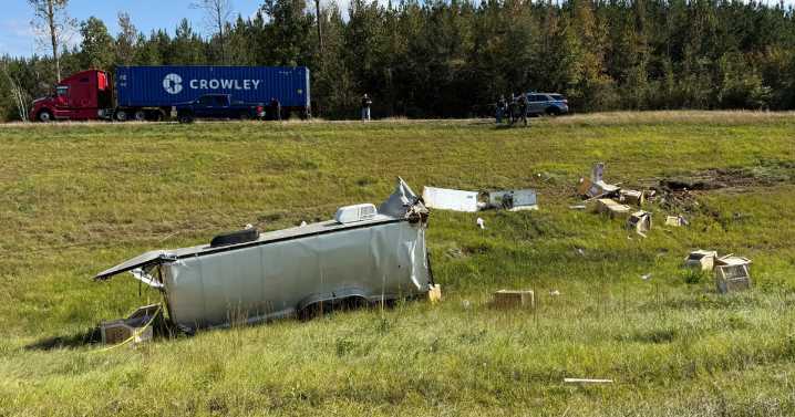 One of missing monkeys in Mississippi escape found by homeowner, sheriff says