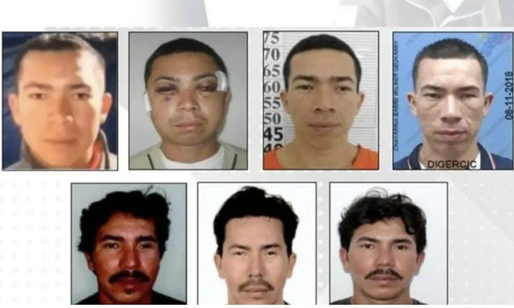 Fragmentación y más violencia: el efecto de la captura de líderes criminales en Ecuador