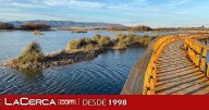 Ecologistas alertan de la aparición de gripe aviar en las Tablas de Daimiel y reclaman revisar la gestión del parque