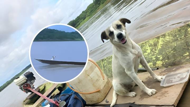 El 'Hachiko peruano': perro espera en bote a su dueño perdido en el río Ucayali (VIDEO)