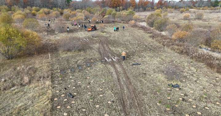 NPCA, seaway team up to plant 3,000 trees