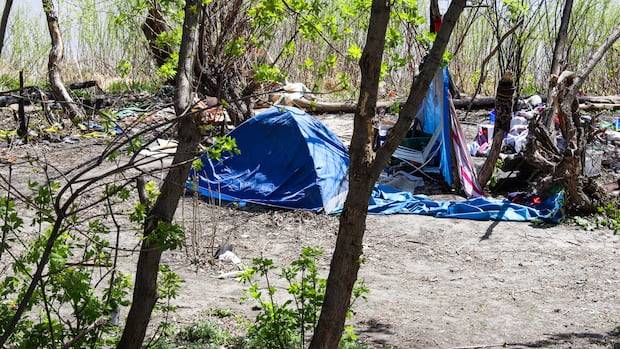 City of Winnipeg committee backs encampment restrictions as advocates call for managed site