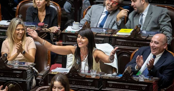 Sin acuerdo por Villaverde, hoy juran 23 nuevos senadores: quiénes son