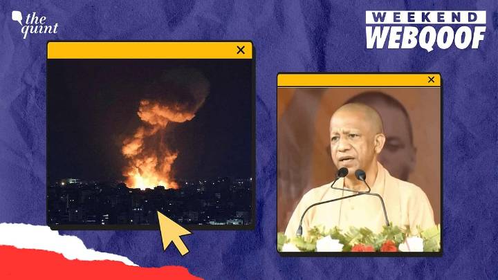 WebQoof Recap: Misinformation Around Red Fort Blast, Bihar Polls & More