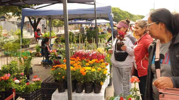 Comienza Jujuy Florece, la atractiva muestra de flores y plantas