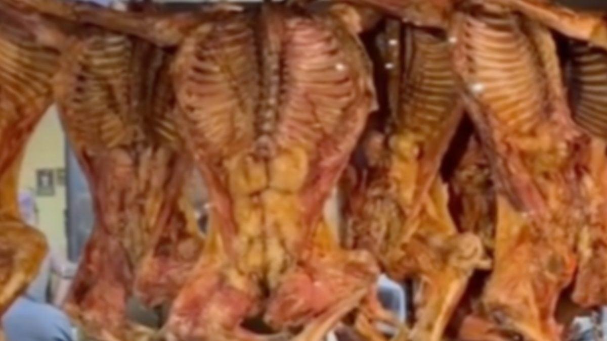 Escasearía cabrito para el Mundial 2026; enfrenta sector grave caída en producción