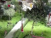 Mi Perú: detienen a tres menores de edad acusados de disparar contra joven