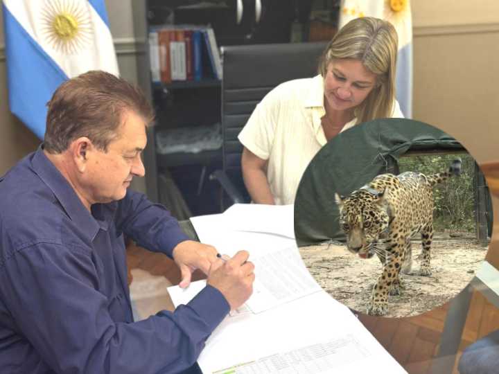 El gobierno del Chaco se presentó como querellante en la “causa Acaí”