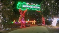 CALM to host food drive during Holiday Lights event