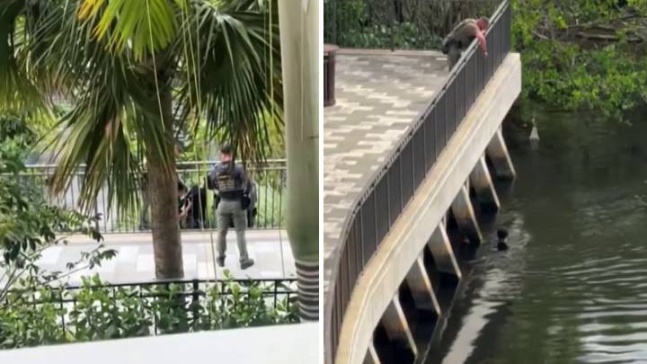 18-year-old accused of running from deputies and hiding in Oakland Park canal – NBC 6 South Florida
