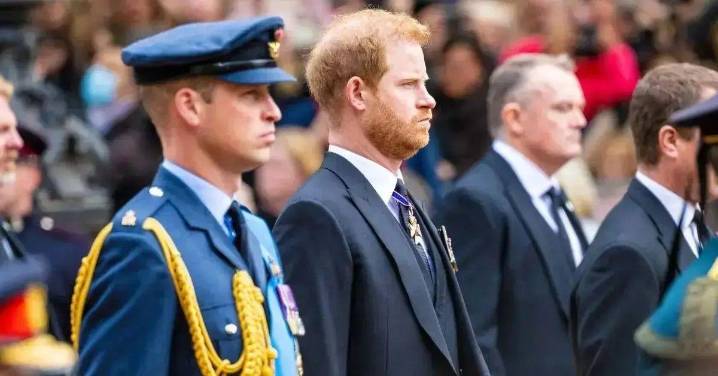 Prince Harry Hints He 'Misses' Older Brother Prince William and May Leave the U.S. in New Essay, Says Expert