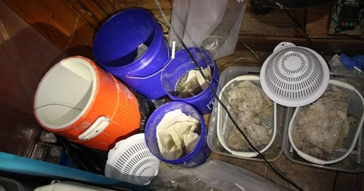 'Largest' meth case in Cherokee Co. concludes