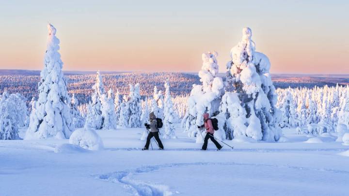 Cinco actividades en Laponia para disfrutar de una Navidad mágica