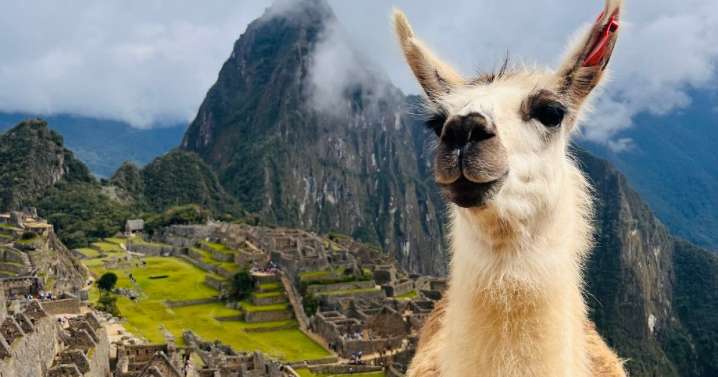 La historia, la gastronomía y los paisajes, motivos para visitar Perú y Machu Picchu