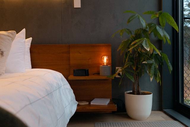 ¿Qué sectores crecieron en Guanajuato según el INEGI?