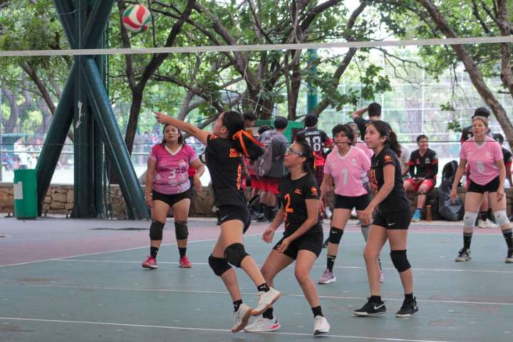 Voleibol de alto calibre