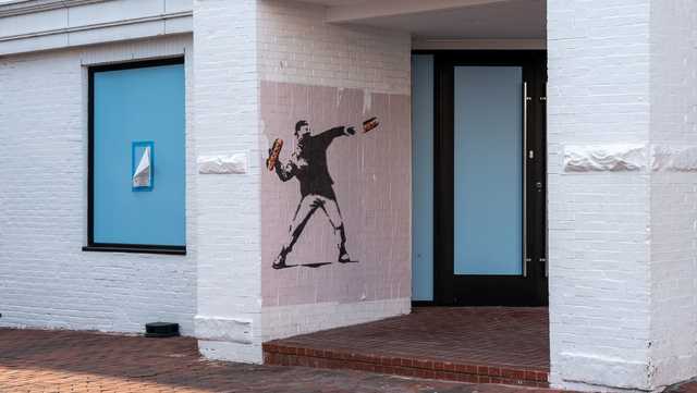 'It smelled of onions and mustard,' Border Patrol officer hit by sandwich in DC testifies