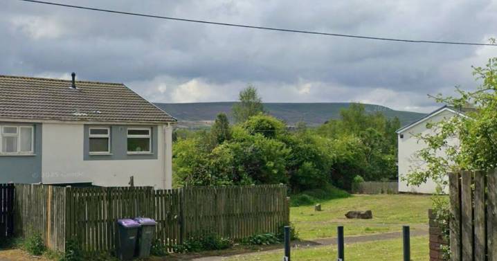 Growling and barking dog bit a woman then jumped at child in pushchair