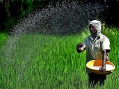 Urea imports jump over 2-fold to 58.62 lakh tons in Apr