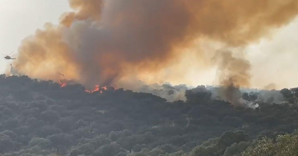 Dos de cada diez incendios forestales registrados en Córdoba este verano fueron intencionados