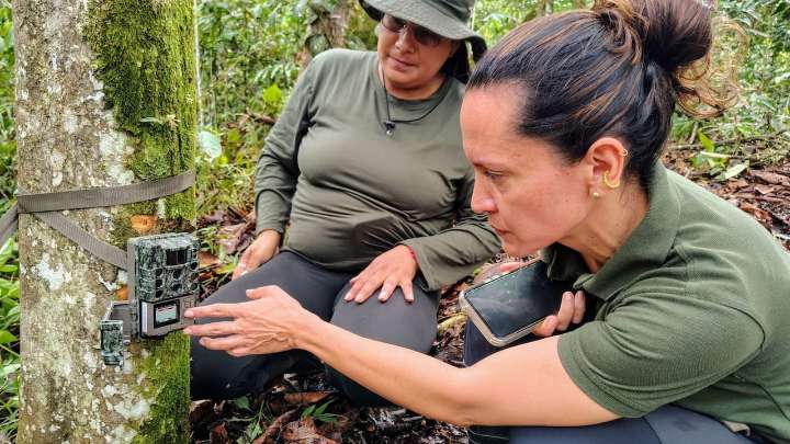 Cali, primera ciudad en Colombia en conservar su fauna con inteligencia artificial; conozca de qué se trata