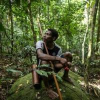 Thailand's last hunter-gatherers seek land rights