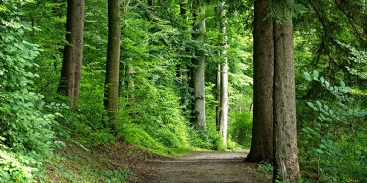 Hiker falls from cliff at Lantern Hill Trail in North Stonington, officials say