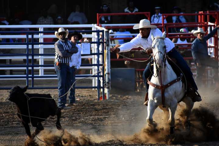 Worcester councilor seeks ban on ‘painful’ rodeo equipment