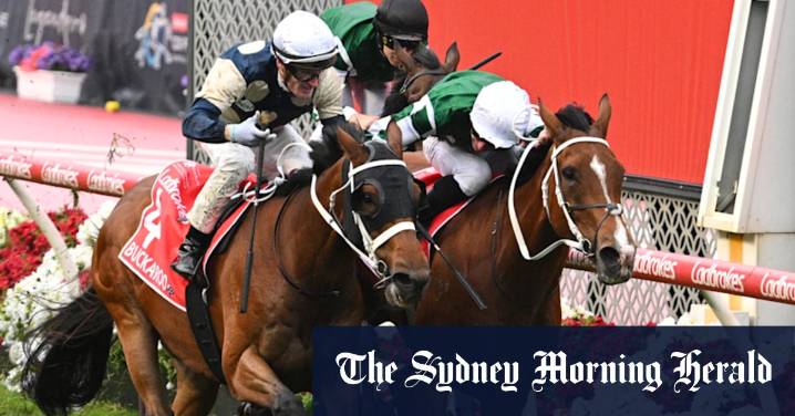 Melbourne Cup 2025 horse-by-horse guide: Odds, tips and expert analysis on each of the horses running in this year’s cup – winning chances, roughies and best bets
