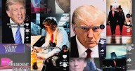 Trump TikTok Challenge: Watch the Worst White House Posts