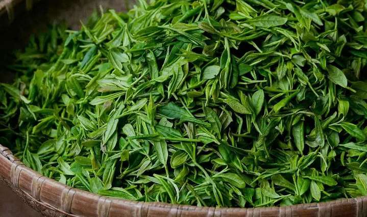 Small tea growers seek halt to green leaf supply from Arunachal Pradesh