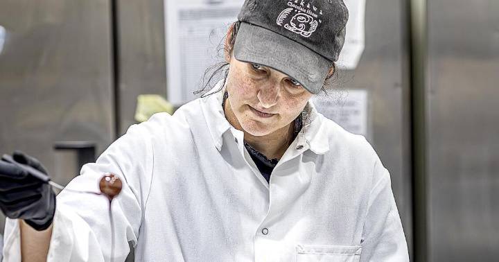 Consumer confidence: Santa Fe retailers see robust early holiday shopping season